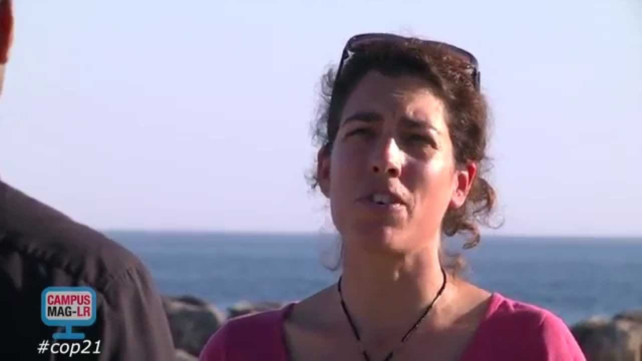 Campus Mag LR : les mésanges méditerranéennes, témoins du climat (CNRS)